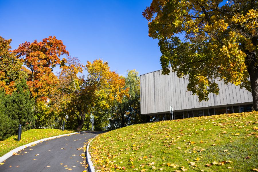 Syksyisten puiden reunustama tie johtaa rakennuksen kulmalle.