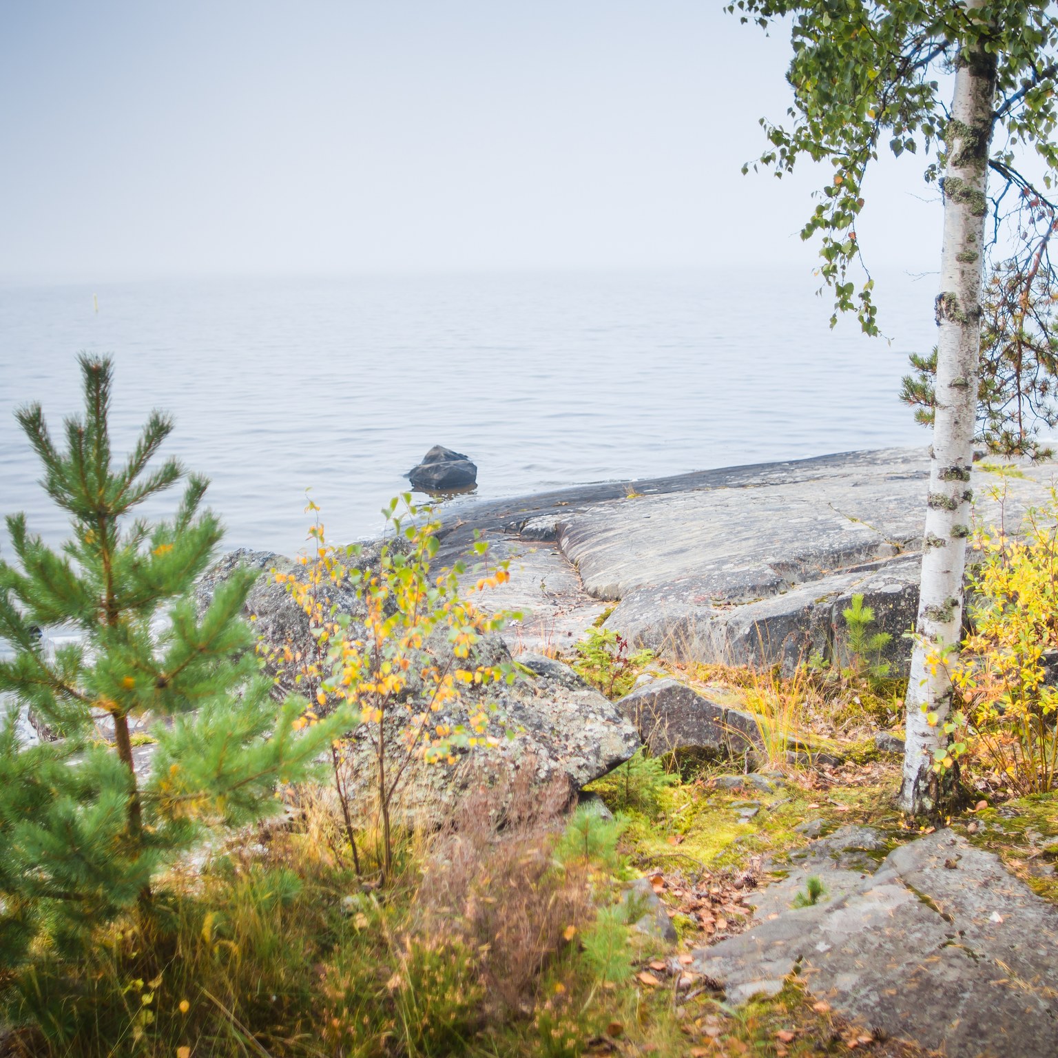 Kuvassa on tamperelainen luontomaisema.