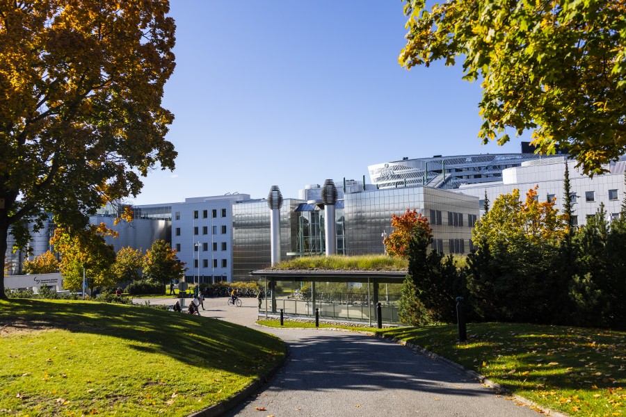 View from Tampere University