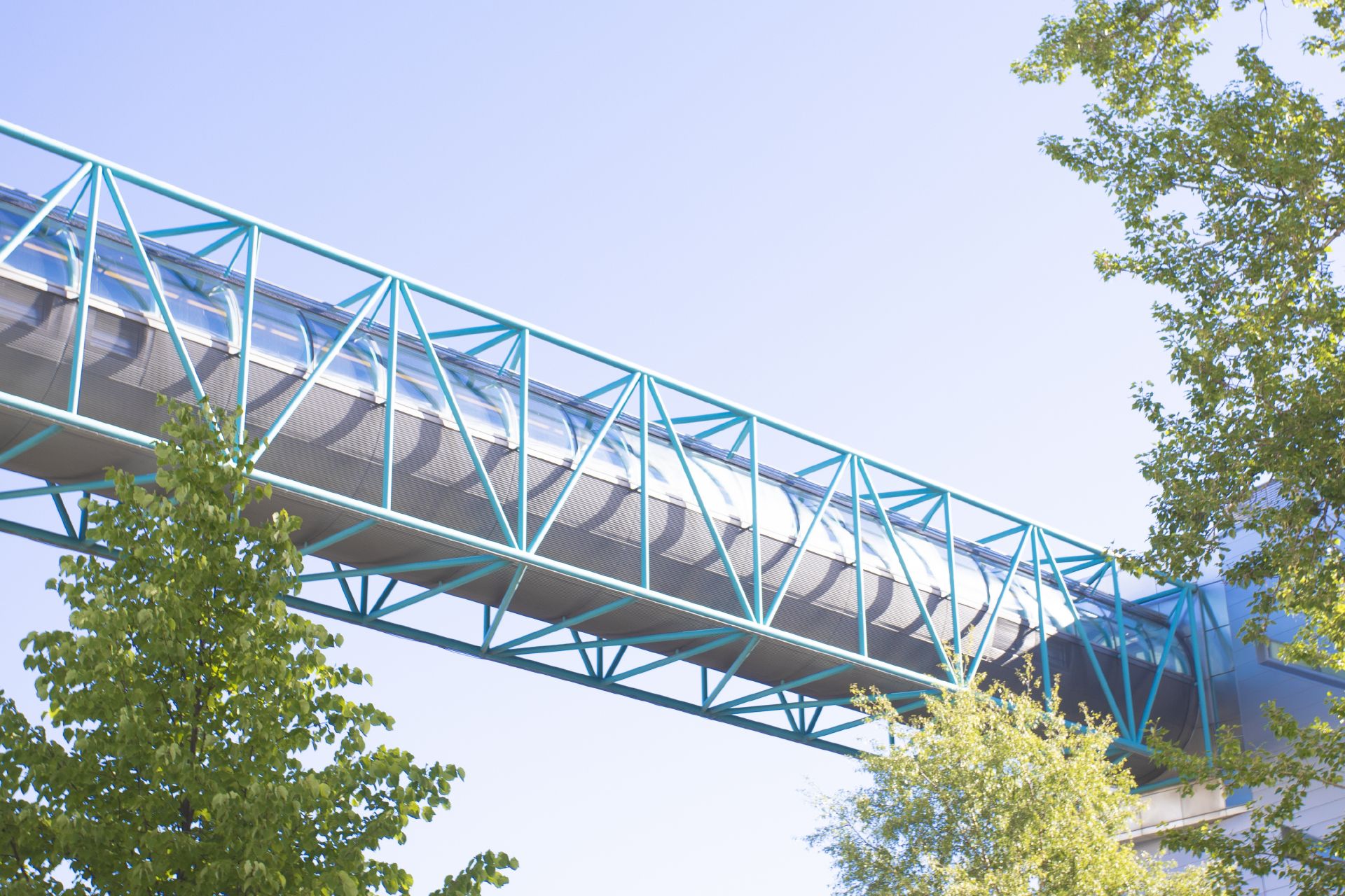 Green leaves and the tunnel city centre campus