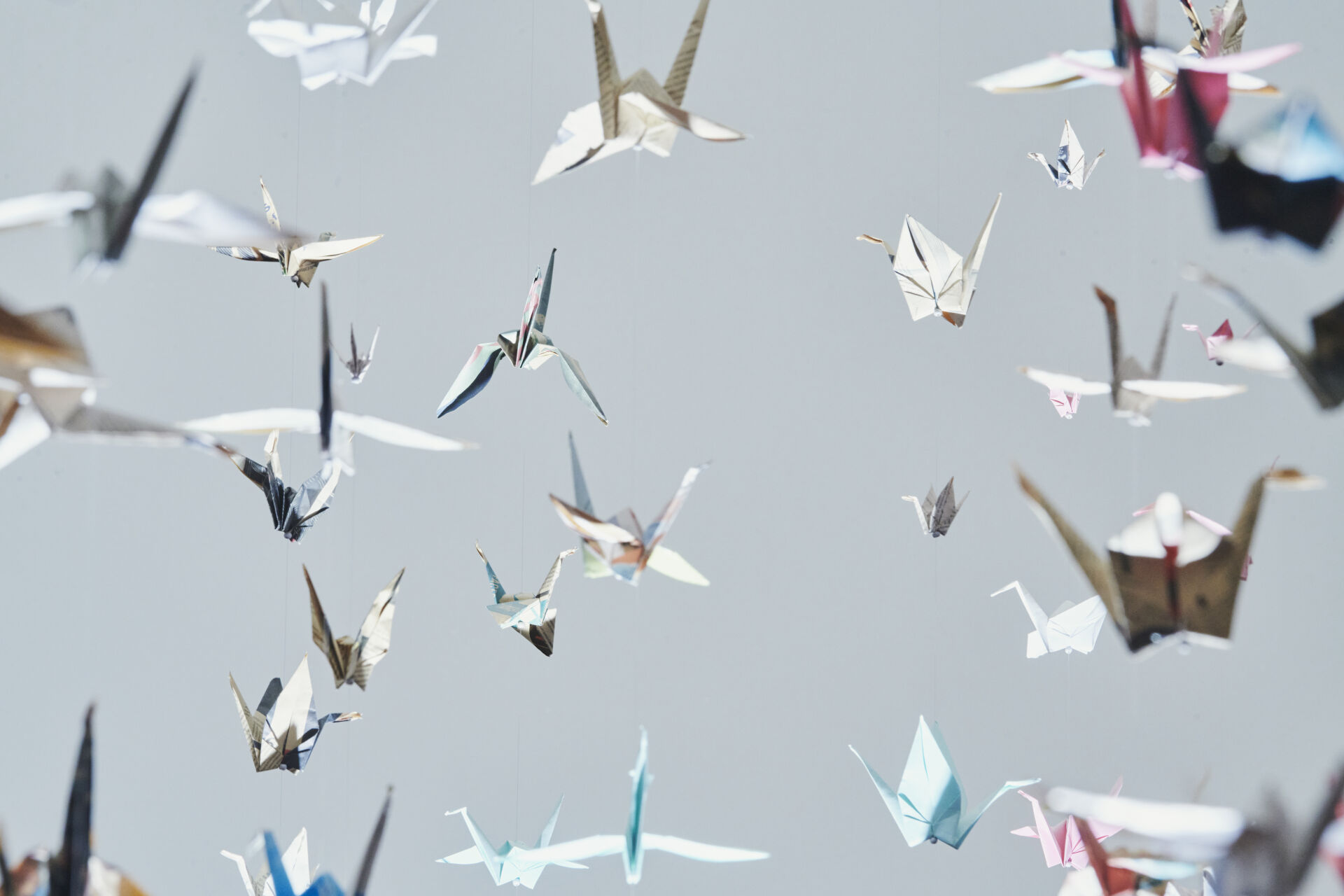 Origamikurkia
