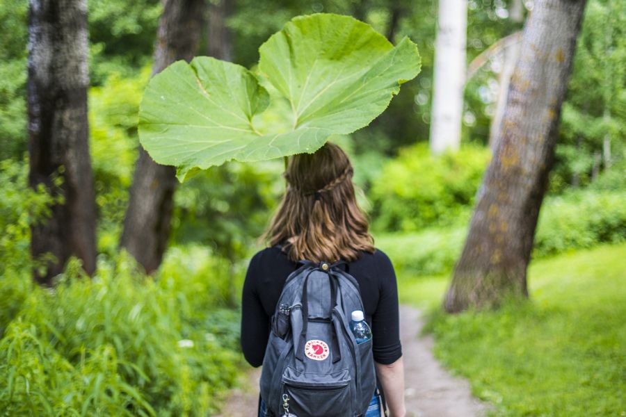 A woman walking in a forest, carrying a giant leaf on the top of her head. She is photographed from the back, carrying a rucksack.