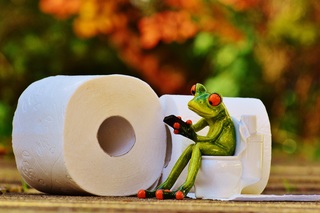 Cute ceramic frog figure sitting on a toilet, next to two toilet rolls, and browsing their mobile phone.